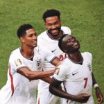 Akpeyi Backs Nwabali To Make Eagles Return