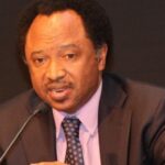 Bauchi Govt Dissolves Wikki Tourist Mgt After NPFL Relegation
