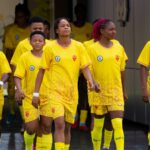 PSG Need Squad Depth To Win Trophies  –Enrique