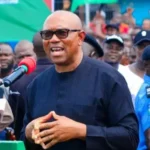 Abiodun Receives Thousands Of PDP, ADC Defectors Into APC