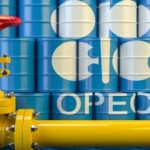 FG, Dangote, Oramah, Amina Mohammed: Africa Must Build, Finance, Its Future