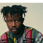 ‘Minimum wage person dead already’ — TG Omori laments kidney treatment cost