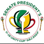 2027: Don’t Vote ADC, They’ll Owe Workers, APC-PCC Tells Nigerians